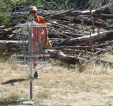 Disc Golf New Zealand