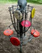 Disc Golf New Zealand