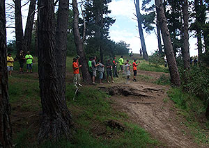 Disc Golf New Zealand