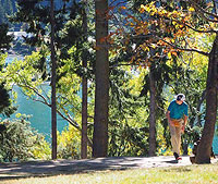 Disc Golf New Zealand