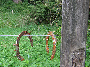 Disc Golf New Zealand