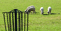 Disc Golf New Zealand