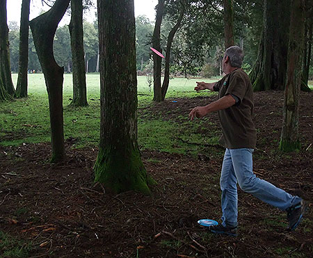 Disc Golf New Zealand