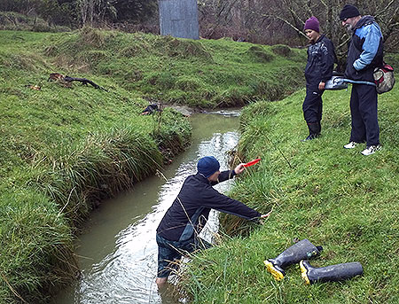 Disc Golf New Zealand