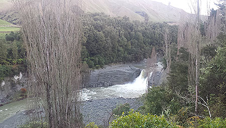 Disc Golf New Zealand