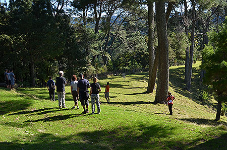 Disc Golf New Zealand