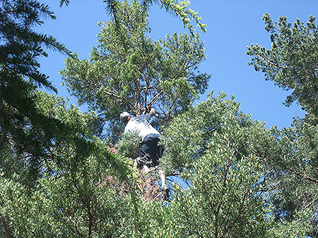 Disc Golf New Zealand