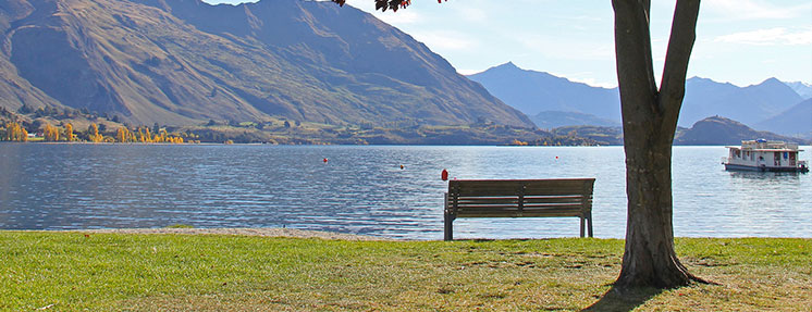 www.discgolf.co.nz