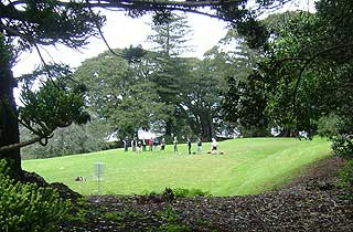 Disc Golf New Zealand